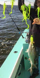 Skirted Umbrella - Rigged with (2) 1.5oz Skirted baits